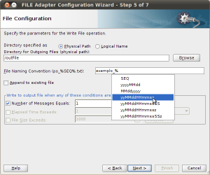 FILE Adapter Configuration Wizard - Step 5 of 7_014
